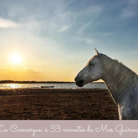 Mas Guiraud, Le Gaspardoux Beaucaire  Exterior foto