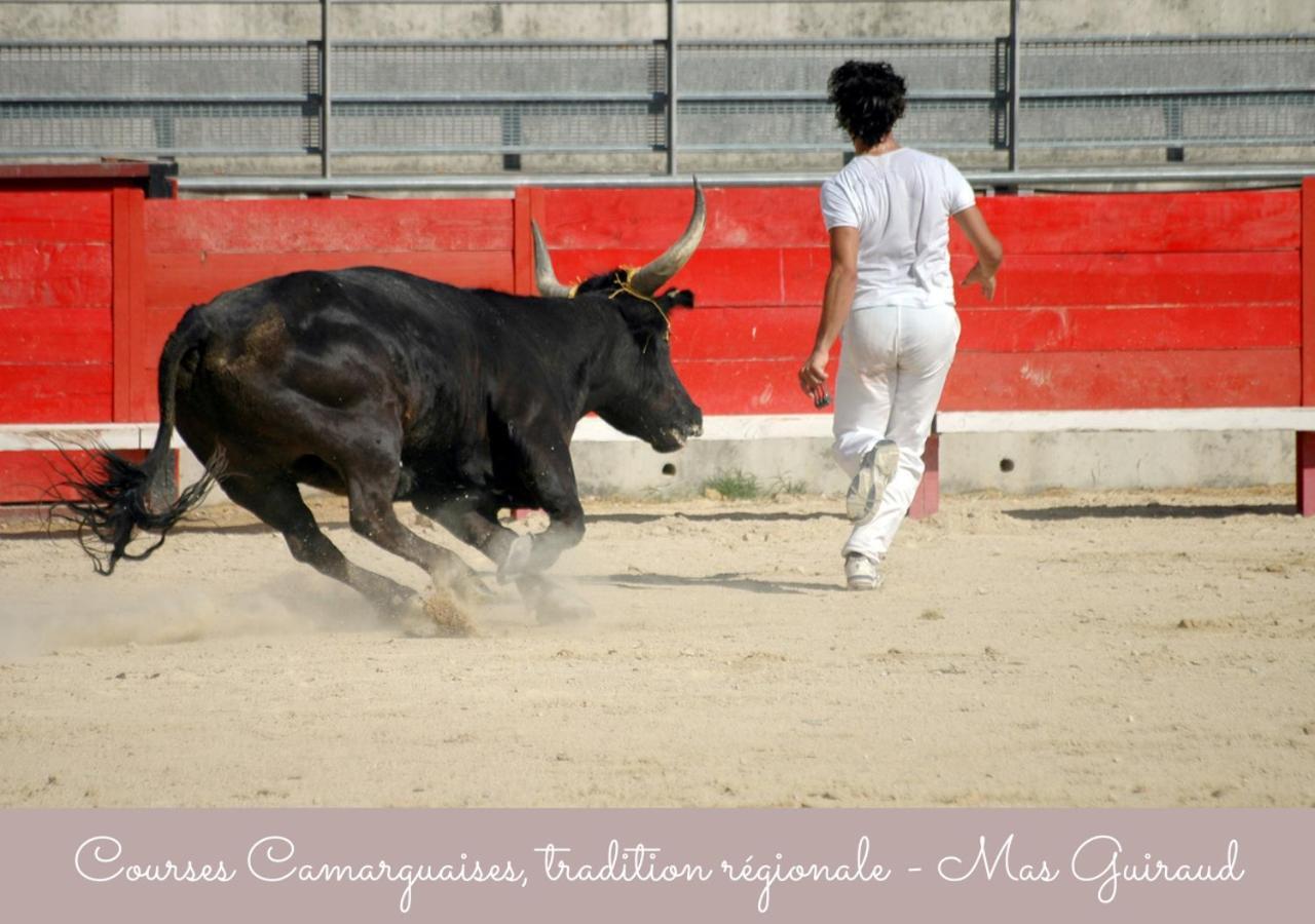 Mas Guiraud, Le Gaspardoux *